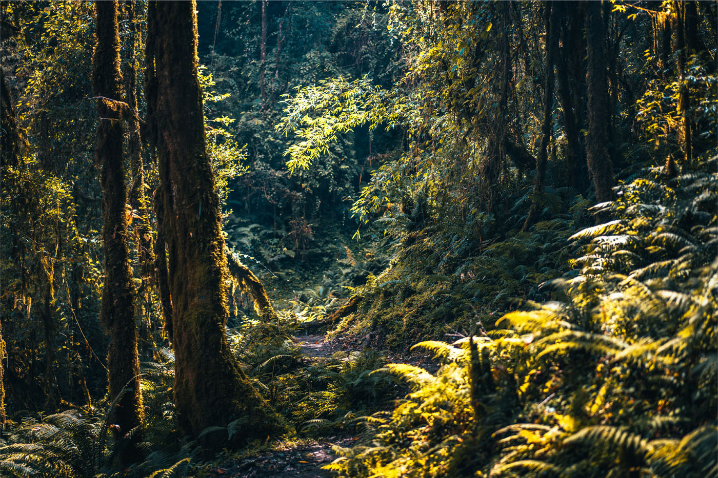 Trek back to Siding Village