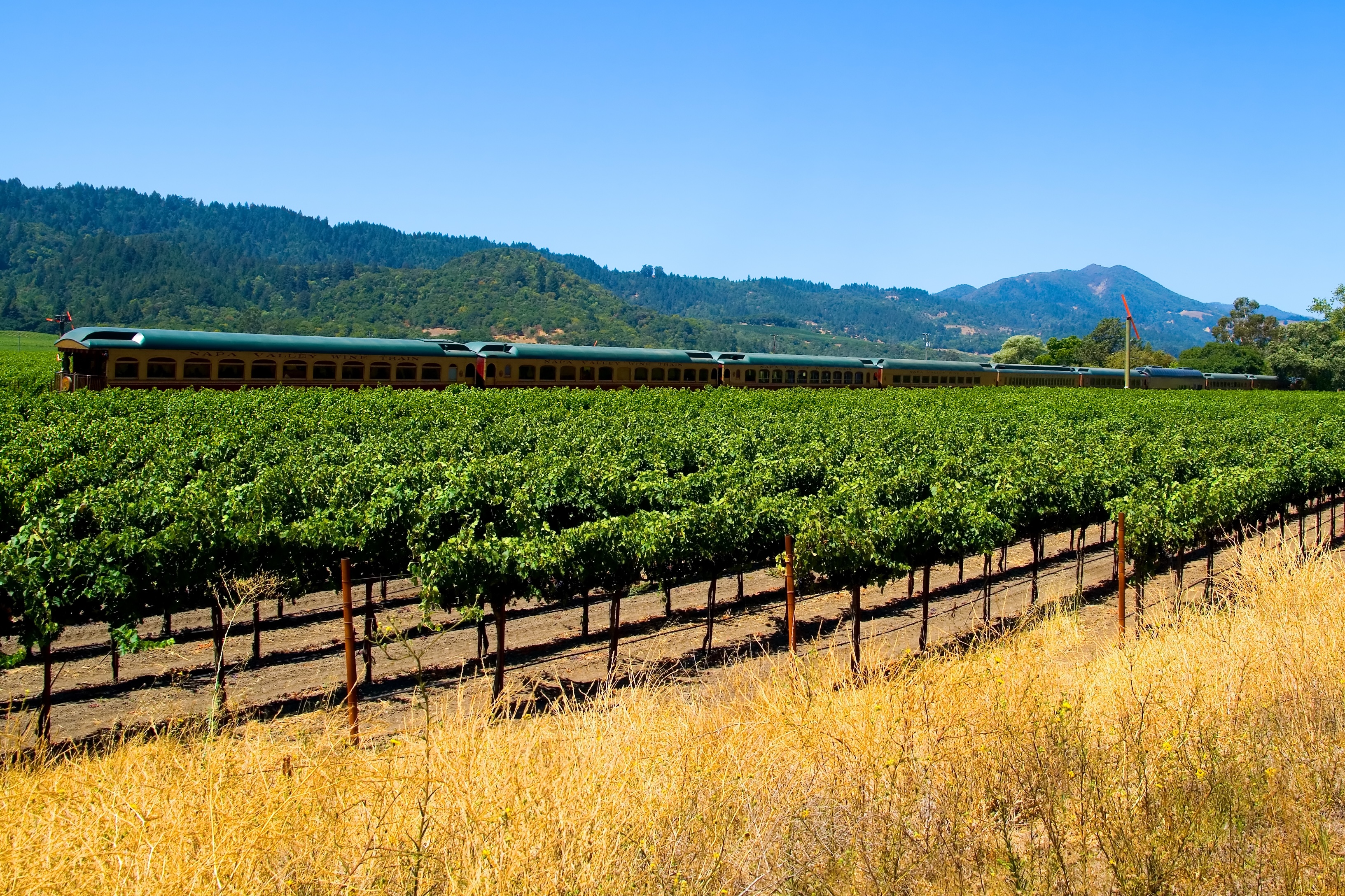 Inland Return to San Francisco & Napa Valley Experience